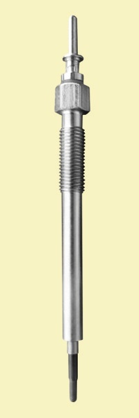 opis do pliku w bazie danych